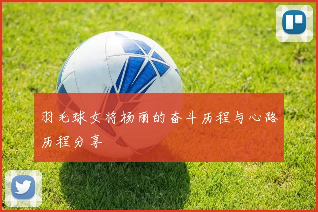 羽毛球女将杨丽的奋斗历程与心路历程分享