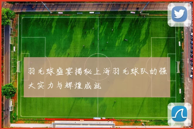 羽毛球盛宴揭秘上海羽毛球队的强大实力与辉煌成就