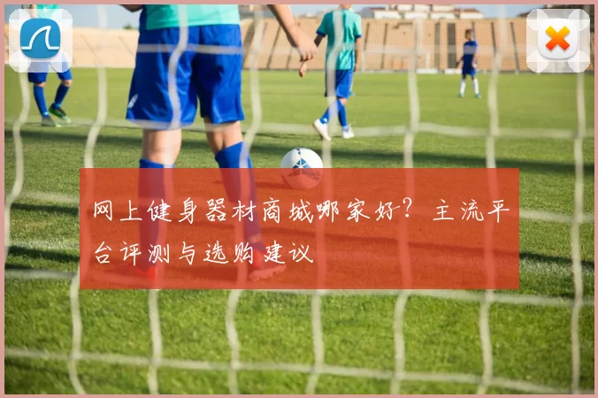网上健身器材商城哪家好？主流平台评测与选购建议
