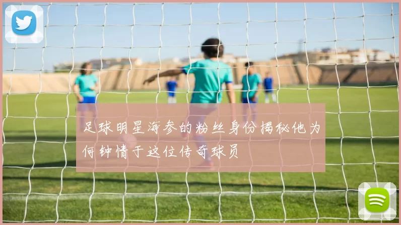 足球明星海参的粉丝身份揭秘他为何钟情于这位传奇球员