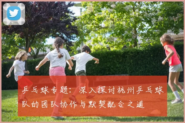 乒乓球专题：深入探讨杭州乒乓球队的团队协作与默契配合之道