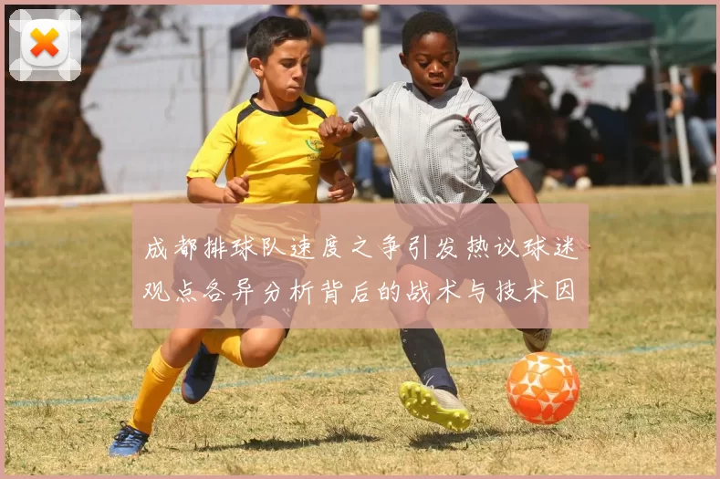 成都排球队速度之争引发热议球迷观点各异分析背后的战术与技术因素