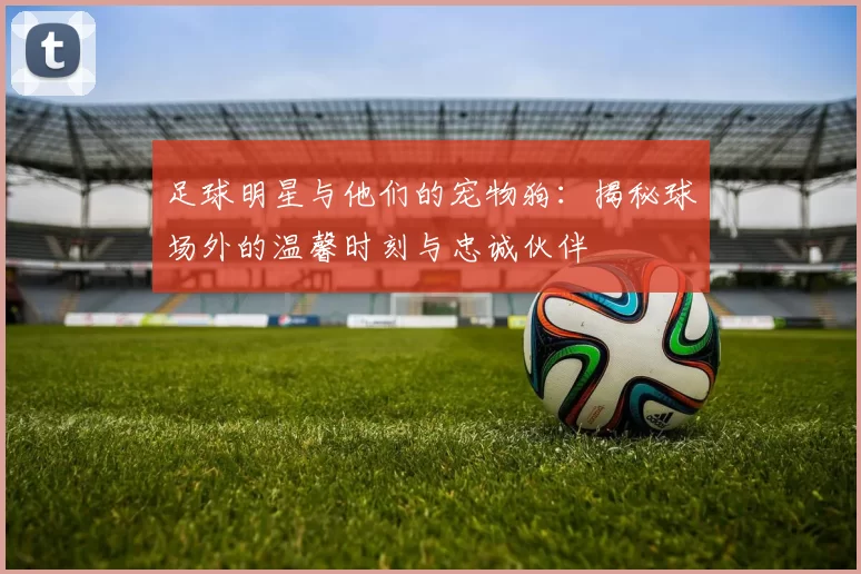 足球明星与他们的宠物狗：揭秘球场外的温馨时刻与忠诚伙伴