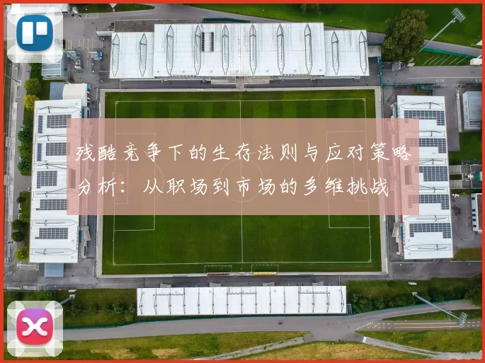 残酷竞争下的生存法则与应对策略分析：从职场到市场的多维挑战