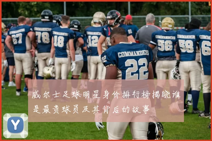 威尔士足球明星身价排行榜揭晓谁是最贵球员及其背后的故事