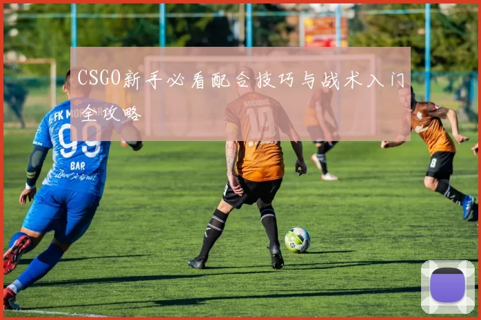 CSGO新手必看配合技巧与战术入门全攻略