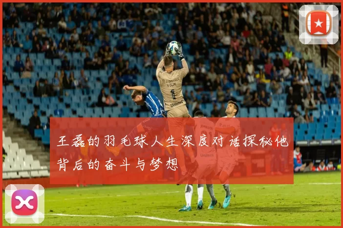 王磊的羽毛球人生深度对话探秘他背后的奋斗与梦想