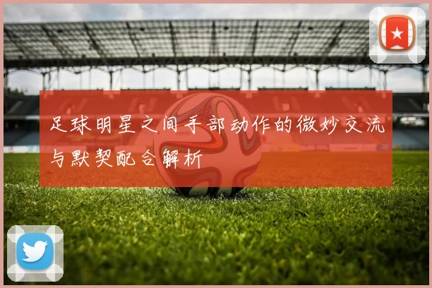 足球明星之间手部动作的微妙交流与默契配合解析