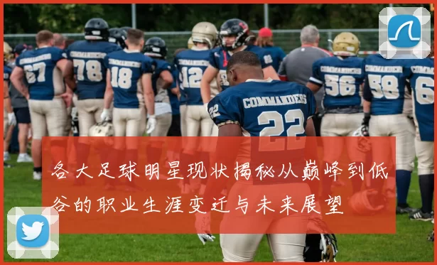 各大足球明星现状揭秘从巅峰到低谷的职业生涯变迁与未来展望