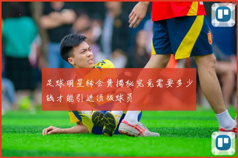 足球明星转会费揭秘究竟需要多少钱才能引进顶级球员