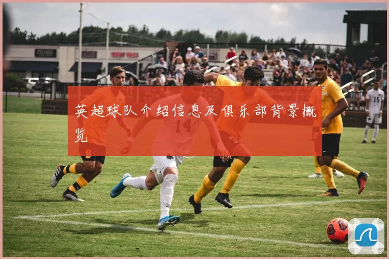 英超球队介绍信息及俱乐部背景概览