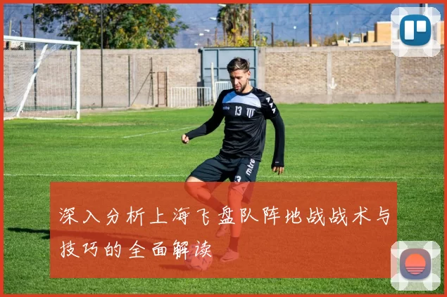 深入分析上海飞盘队阵地战战术与技巧的全面解读