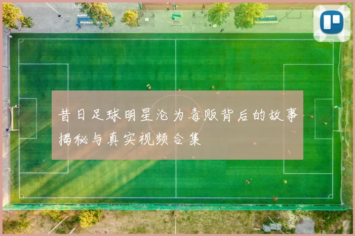 昔日足球明星沦为毒贩背后的故事揭秘与真实视频合集
