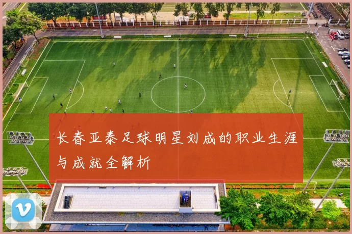 长春亚泰足球明星刘成的职业生涯与成就全解析