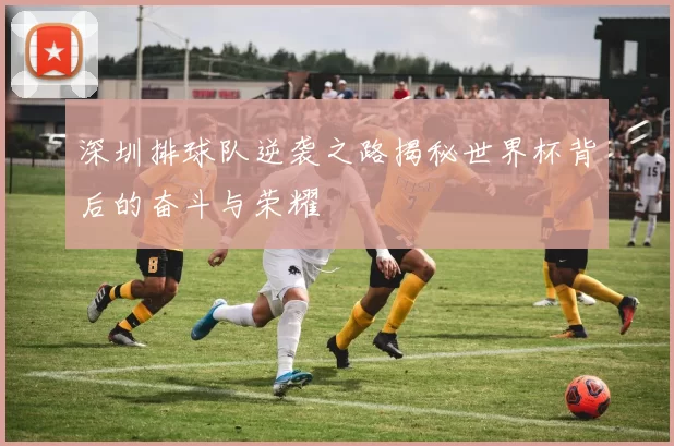 深圳排球队逆袭之路揭秘世界杯背后的奋斗与荣耀
