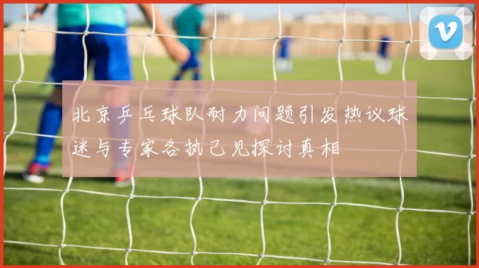 北京乒乓球队耐力问题引发热议球迷与专家各执己见探讨真相