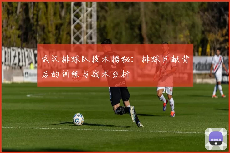 武汉排球队技术揭秘：排球巨献背后的训练与战术分析