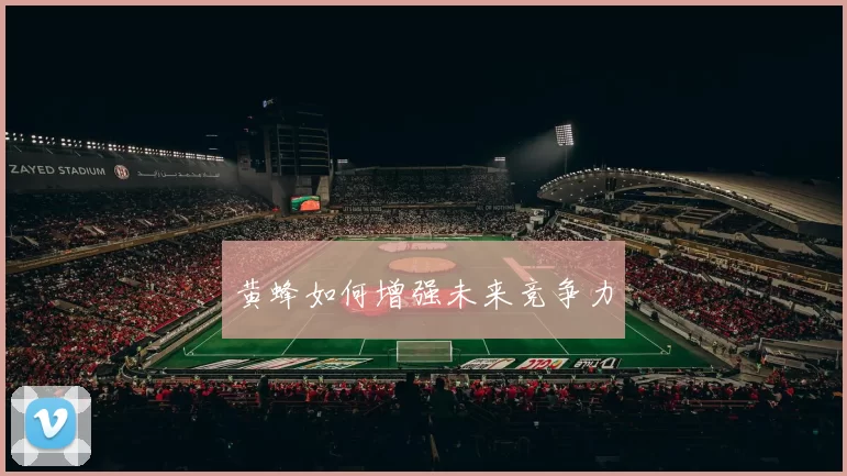 黄蜂如何增强未来竞争力