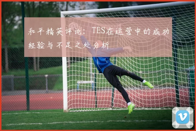 和平精英评论：TES在运营中的成功经验与不足之处分析